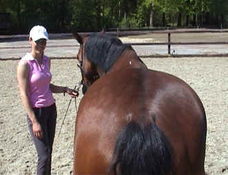 Unequal pelvis Hind leg asymmetry