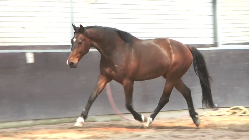 Dimensions of  straightness training