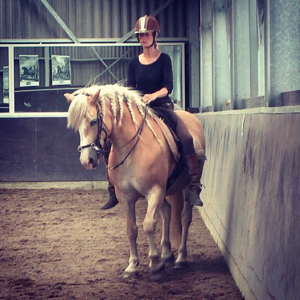 How to keep your horse balanced in his spirit Straightness Training